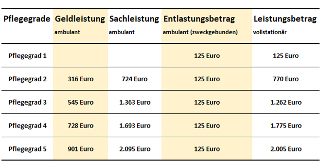 Die Leistungen der Pflegeversicherung Die Leistungen der Pflegeversicherung